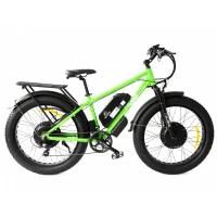 Электровелосипед Elbike Phantom Twix 20 Ah зеленый